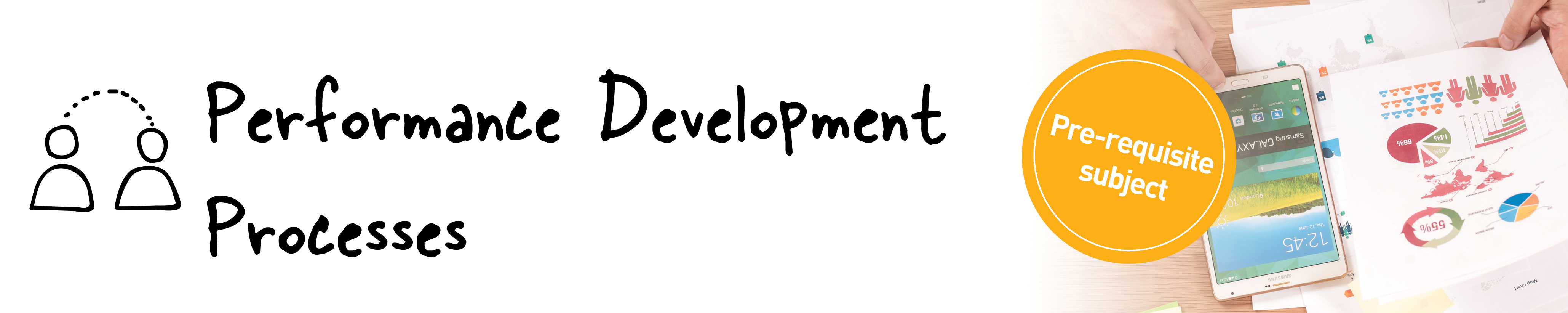 Performance Development Processes