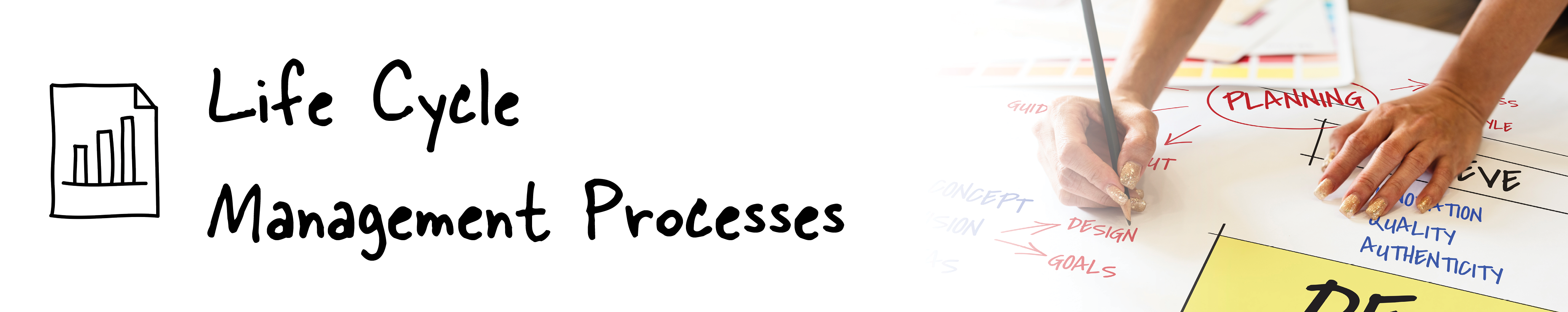 Life Cycle Management Processes